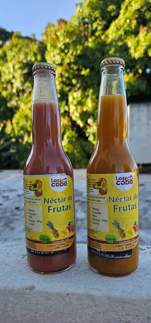 Nectar de fruits. Saveur goyave. (6 unités)